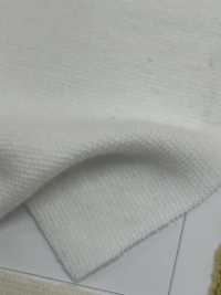 C400 ريب دائري مغزول من القطن 40-count[Rib Knit] TAKENAKA CORPORATION صور إضافية