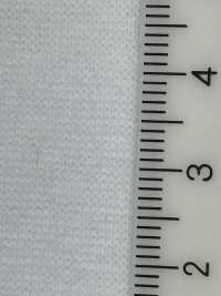 C400 ريب دائري مغزول من القطن 40-count[Rib Knit] TAKENAKA CORPORATION صور إضافية