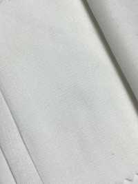 LS422 DanLion فازلين شبه مطاطي للقمصان[فازلين (قماش التقوية)] Nittobo Advantex صور إضافية
