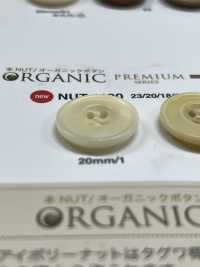 NUT1100 أزرار من الجوز الحقيقي للجاكيتات والبدلات IRIS صور إضافية