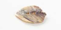 P0849 GAFFORELLI زر على شكل ورقة من الصدف[أزرار] GAFFORELLI صور إضافية