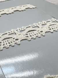 SIC-7243 دانتيل قطن عضوي ملتف / 13 مم[Lace] SHINDO(SIC) صور إضافية