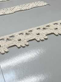 SIC-7323 دانتيل تورشون من القطن العضوي / 10 mm[Lace] SHINDO(SIC) صور إضافية
