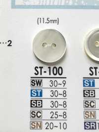 ST100 زر من الصدف الطبيعي - Takase Shell -[Buttons] IRIS صور إضافية