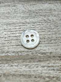 SW17-OUTLET زر من الصدف الطبيعي - صدفة أم اللؤلؤ - 11.5MM[أزرار] IRIS صور إضافية