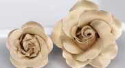 VBTA-07 VANNERS Boutonniere ذهبي شامبانيا