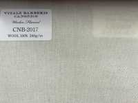 CNB2017 CANONICO فلانيل صوفي قياسي بيج فاتح سادة[قماش] CANONICO صور إضافية