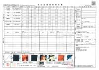 TPT1002 نمط متكرر لبطانة مطبوعة Iwami Kagura صور إضافية