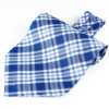 RAS-02 ربطة أسكوت، مربعات زرقاء، مصنوعة من Ring Heart Fabric