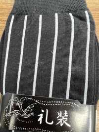 S-02 جوارب رسمية، مخططة[مستلزمات رسمية] Yamamoto(EXCY) صور إضافية